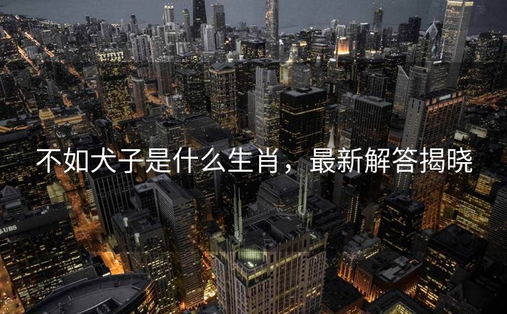 不如犬子是什么生肖，最新解答揭晓