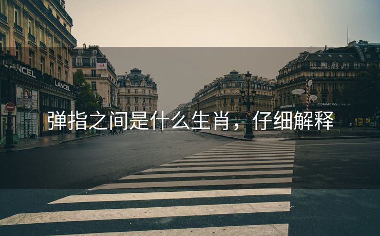 弹指之间是什么生肖，仔细解释
