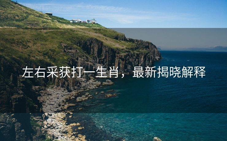 左右采获打一生肖，最新揭晓解释