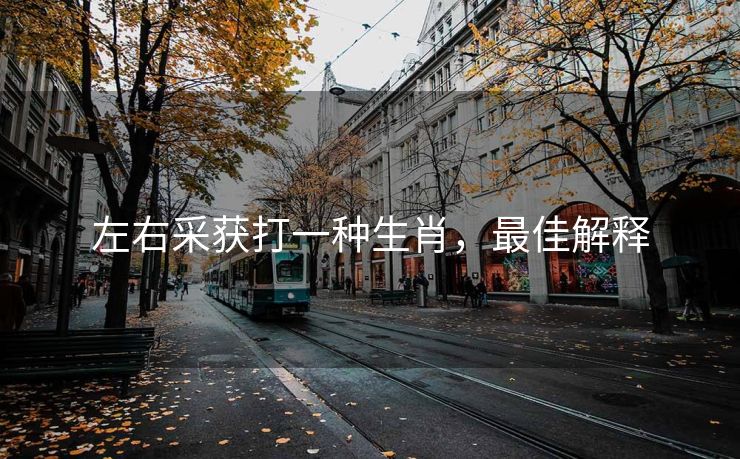 左右采获打一种生肖，最佳解释