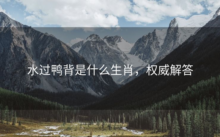 水过鸭背是什么生肖，权威解答