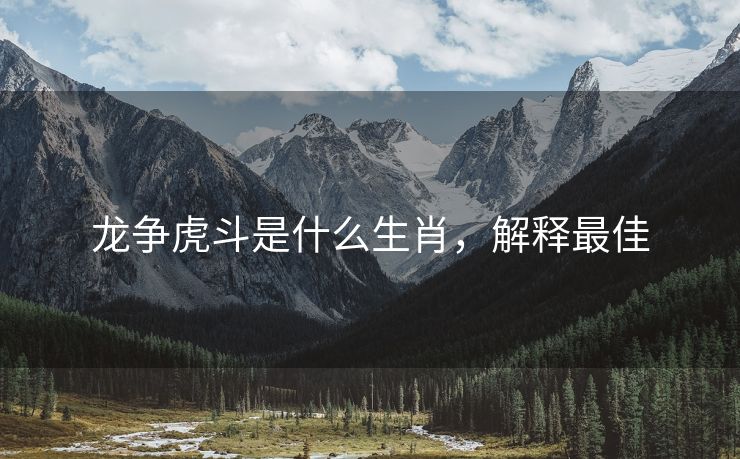 龙争虎斗是什么生肖，解释最佳