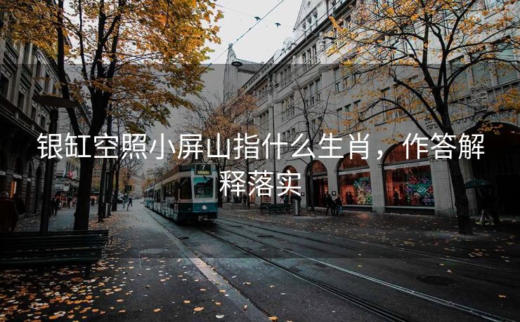 银缸空照小屏山指什么生肖，作答解释落实