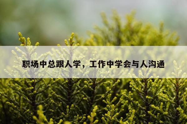 职场中总跟人学，工作中学会与人沟通