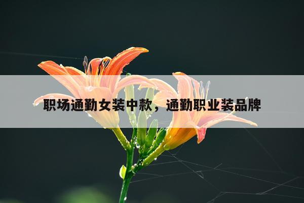职场通勤女装中款，通勤职业装品牌
