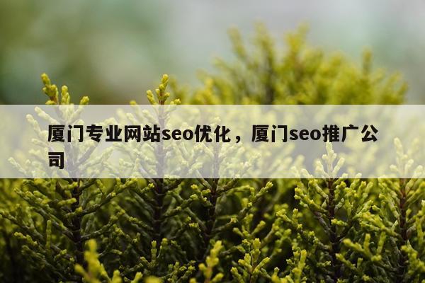 厦门专业网站seo优化，厦门seo推广公司