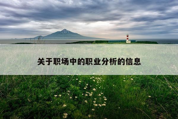 关于职场中的职业分析的信息