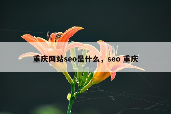 重庆网站seo是什么，seo 重庆