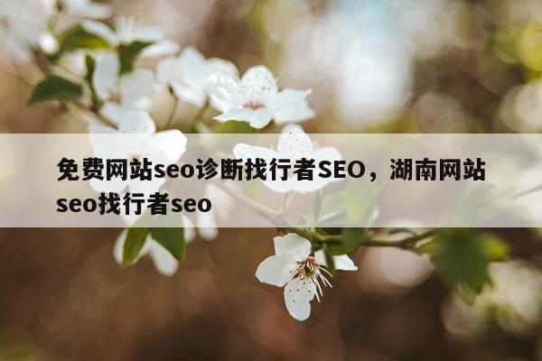 免费网站seo诊断找行者SEO，湖南网站seo找行者seo