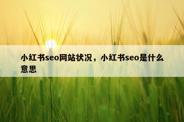 小红书seo网站状况,小红书seo是什么意思