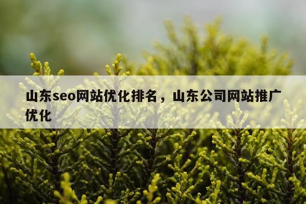 山东seo网站优化排名,山东公司网站推广优化