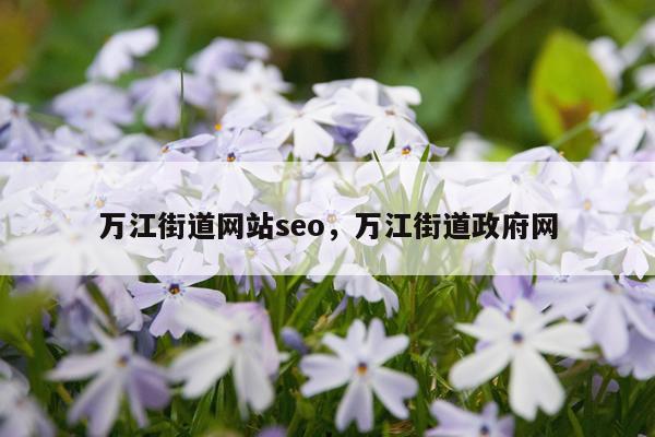 万江街道网站seo，万江街道政府网