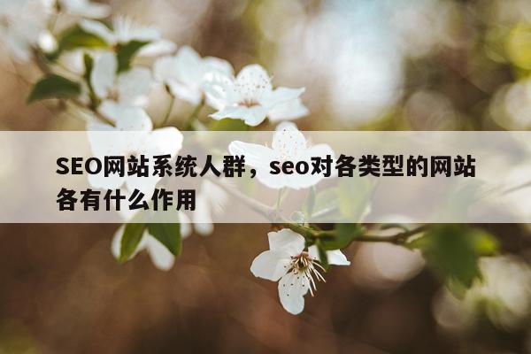 SEO网站系统人群,seo对各类型的网站各有什么作用