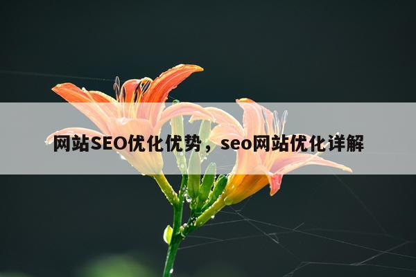 网站SEO优化优势，seo网站优化详解