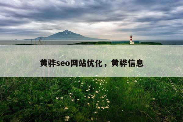 黄骅seo网站优化，黄骅信息
