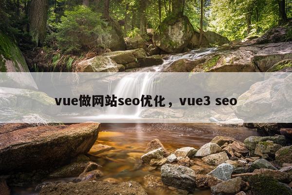 vue做网站seo优化，vue3 seo