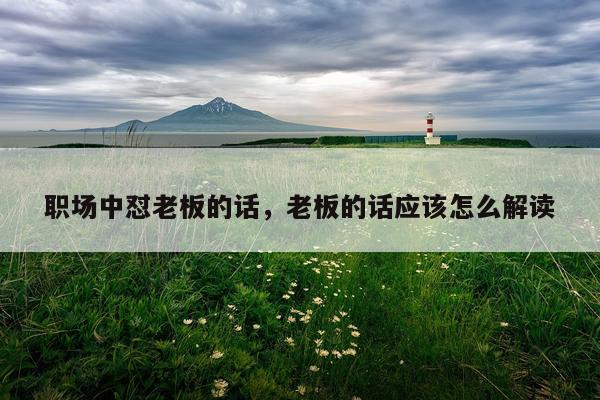 职场中怼老板的话,老板的话应该怎么解读