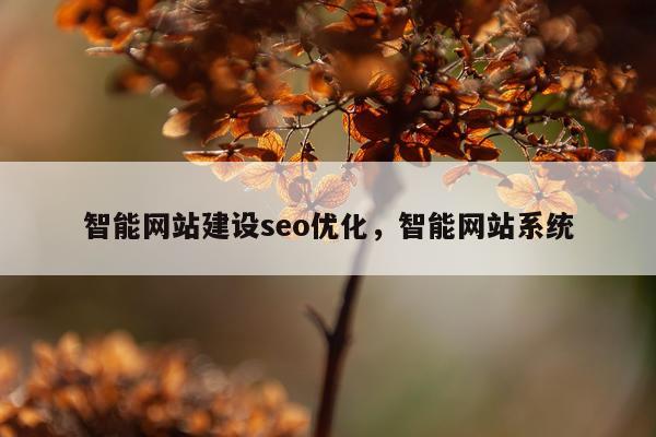 智能网站建设seo优化，智能网站系统