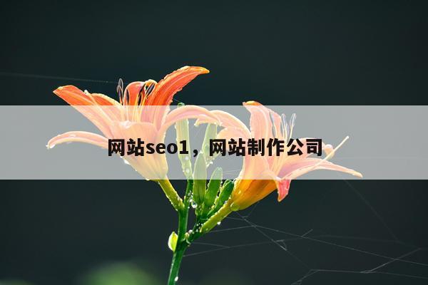 网站seo1，网站制作公司