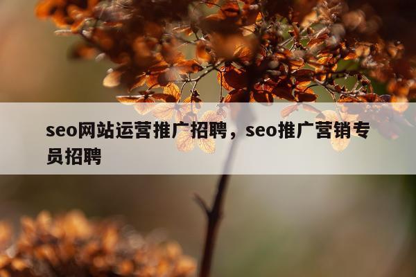 seo网站运营推广招聘，seo推广营销专员招聘