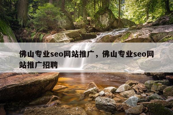 佛山专业seo网站推广，佛山专业seo网站推广招聘