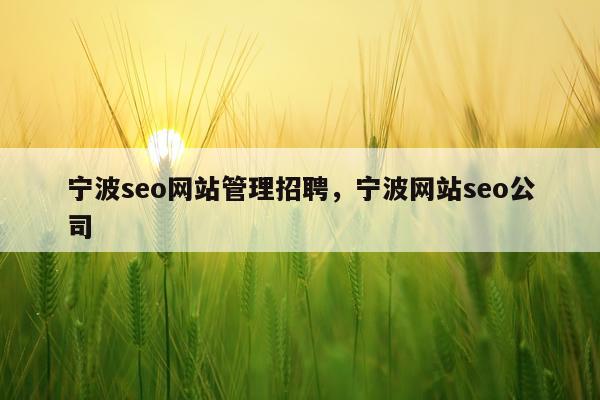 宁波seo网站管理招聘，宁波网站seo公司