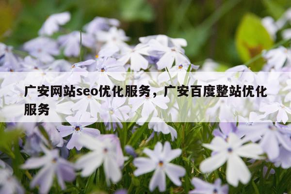 广安网站seo优化服务，广安百度整站优化服务