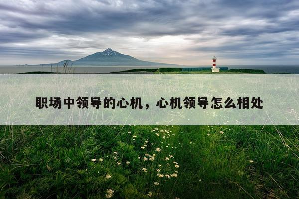 职场中领导的心机，心机领导怎么相处