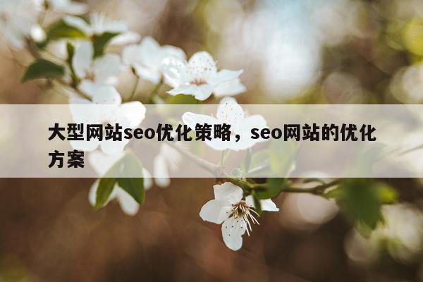 大型网站seo优化策略，seo网站的优化方案
