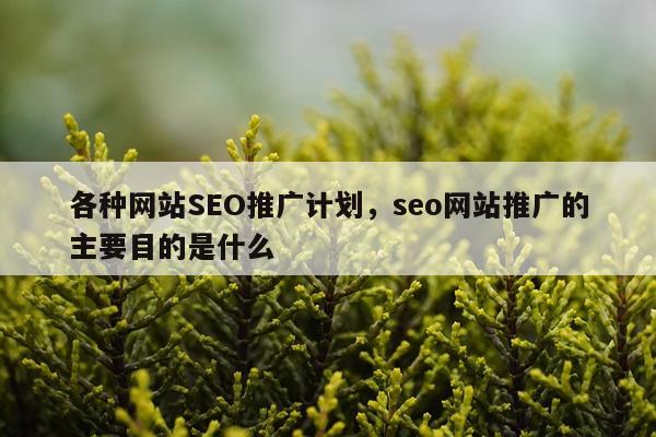 各种网站SEO推广计划，seo网站推广的主要目的是什么