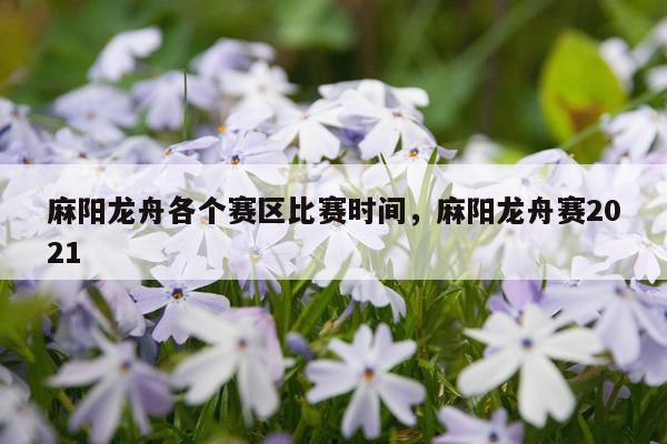 麻阳龙舟各个赛区比赛时间，麻阳龙舟赛2021