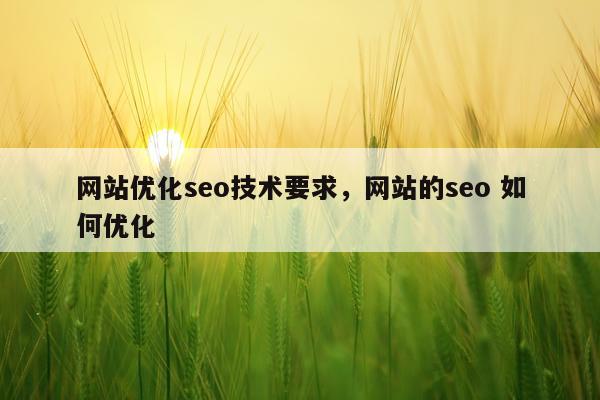 网站优化seo技术要求，网站的seo 如何优化