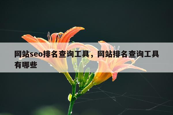 网站seo排名查询工具，网站排名查询工具有哪些