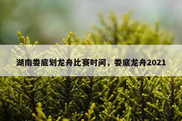 湖南娄底划龙舟比赛时间，娄底龙舟2021