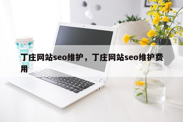 丁庄网站seo维护，丁庄网站seo维护费用