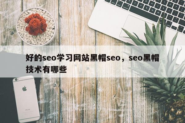 好的seo学习网站黑帽seo，seo黑帽技术有哪些
