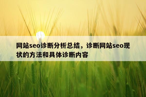 网站seo诊断分析总结，诊断网站seo现状的方法和具体诊断内容