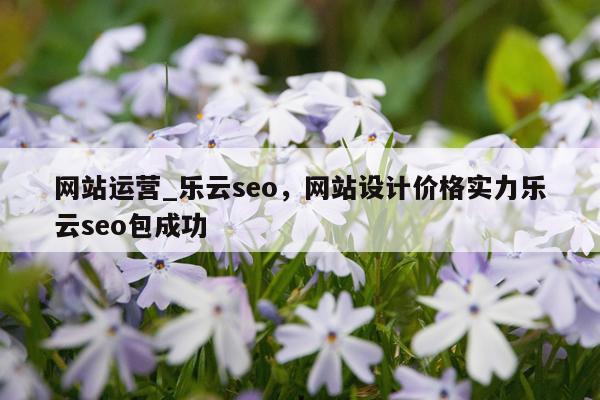 网站运营_乐云seo，网站设计价格实力乐云seo包成功