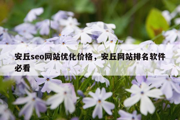 安丘seo网站优化价格，安丘网站排名软件必看