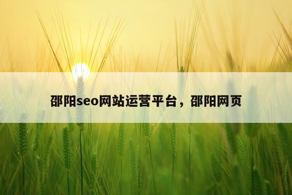 邵阳seo网站运营平台，邵阳网页