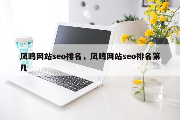 凤鸣网站seo排名，凤鸣网站seo排名第几