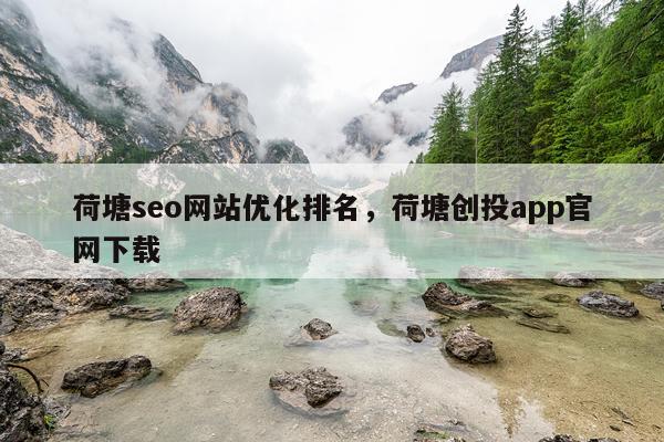 荷塘seo网站优化排名，荷塘创投app官网下载