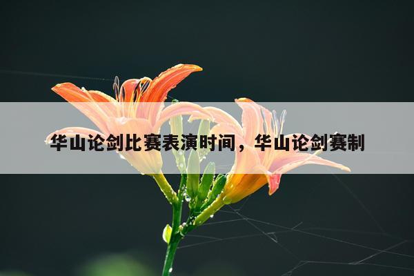 华山论剑比赛表演时间，华山论剑赛制