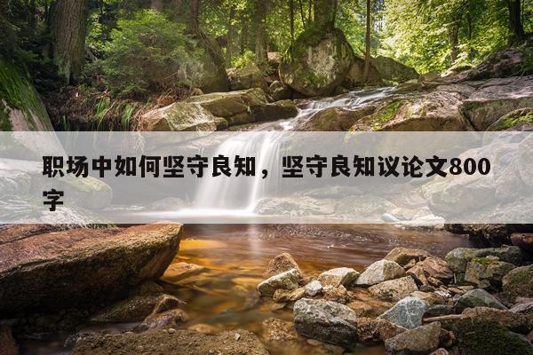 职场中如何坚守良知，坚守良知议论文800字