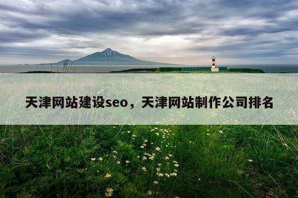 天津网站建设seo，天津网站制作公司排名