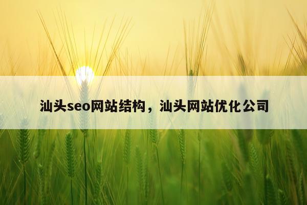 汕头seo网站结构，汕头网站优化公司