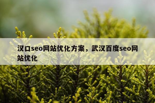 汉口seo网站优化方案，武汉百度seo网站优化