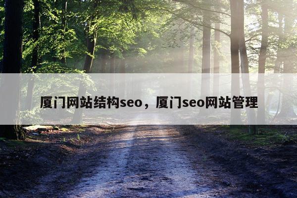 厦门网站结构seo，厦门seo网站管理
