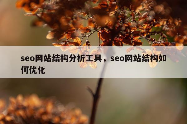 seo网站结构分析工具，seo网站结构如何优化