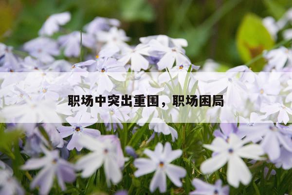 职场中突出重围，职场困局